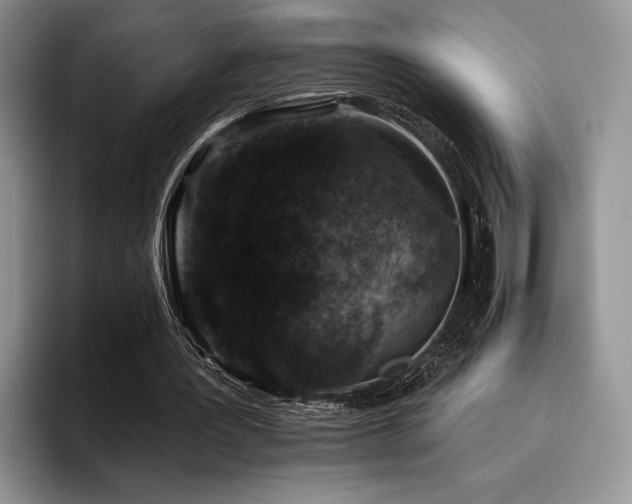 X0000096130387200801181117