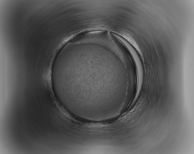X0000096130389200801181117