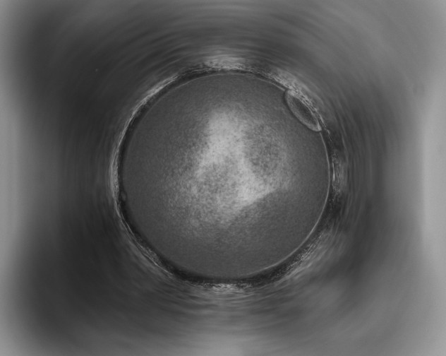 X0000096130390200801181117