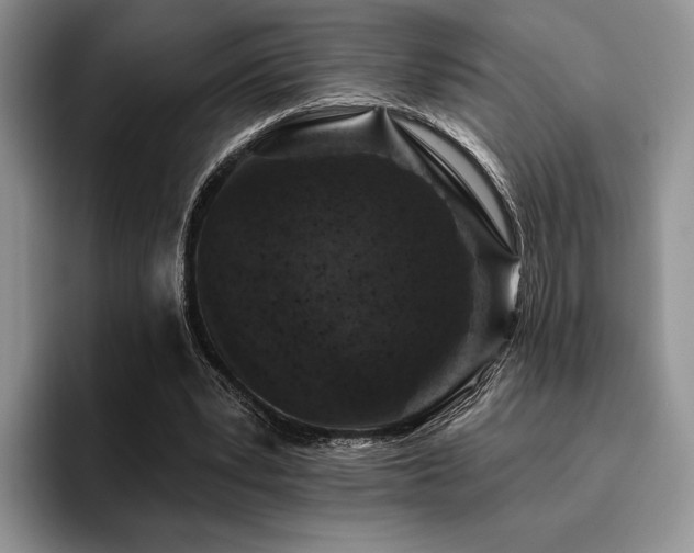 X0000096130391200801181117