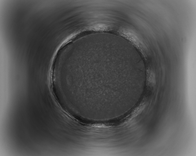 X0000096130392200801181117