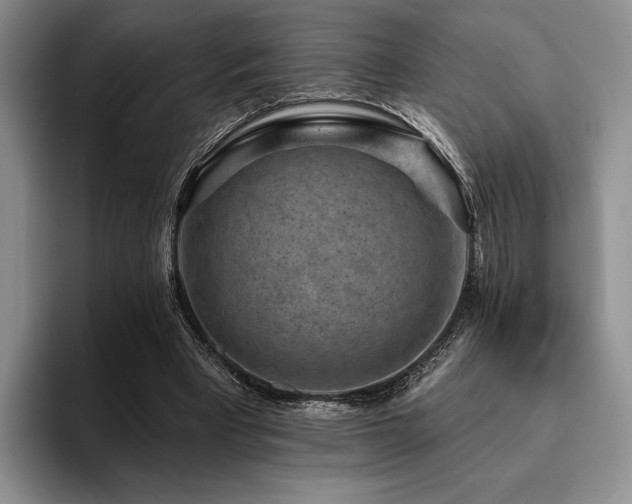 X0000096130393200801181117