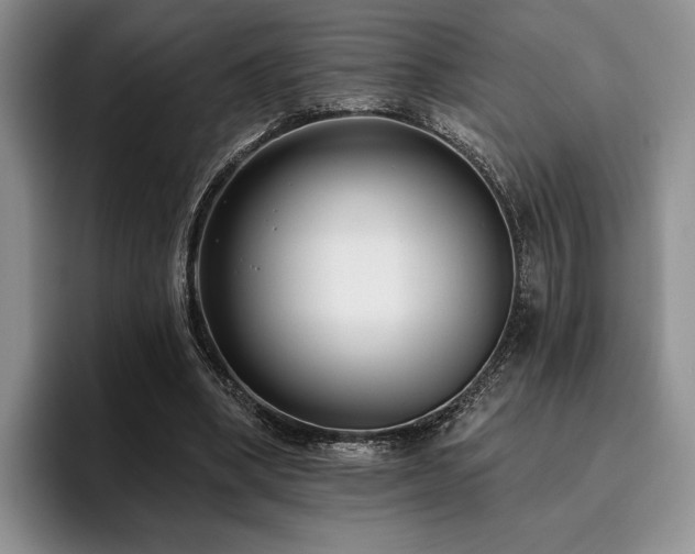 X0000096130394200801181117
