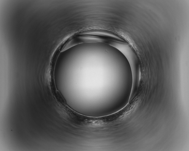 X0000096130395200801181117