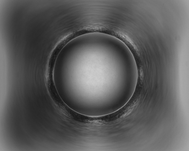 X0000096130396200801181117
