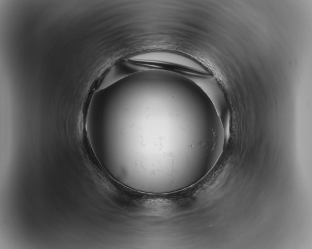 X0000096130397200801181117