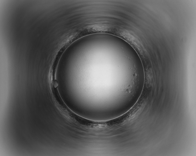 X0000096130398200801181117