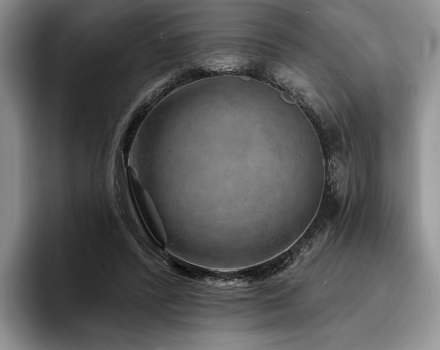 X0000096130400200801181117