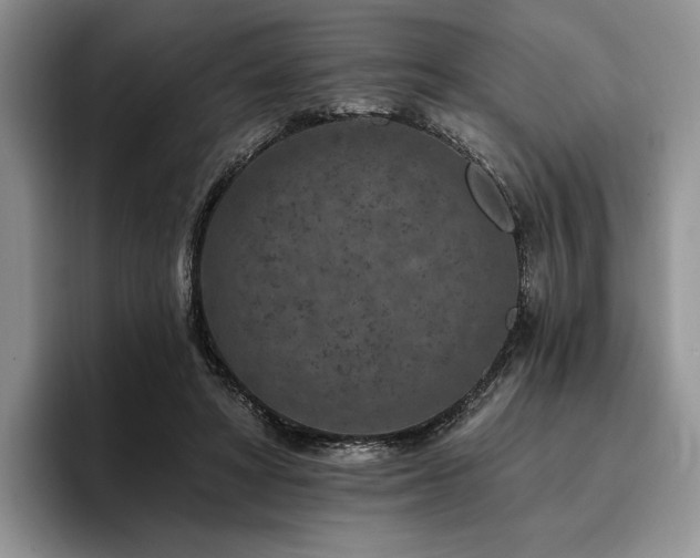 X0000096130402200801181117