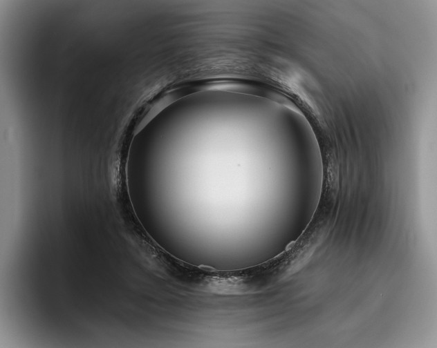 X0000096130403200801181117