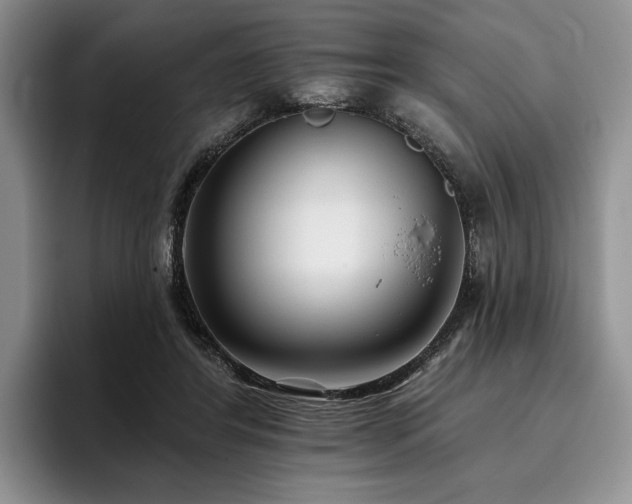X0000096130404200801181117