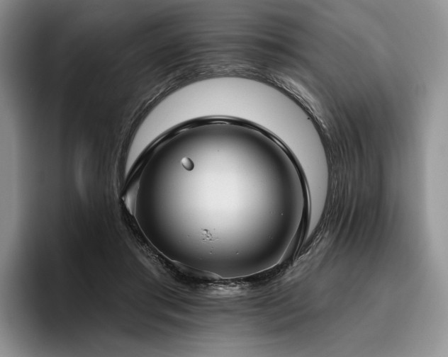 X0000096130405200801181117