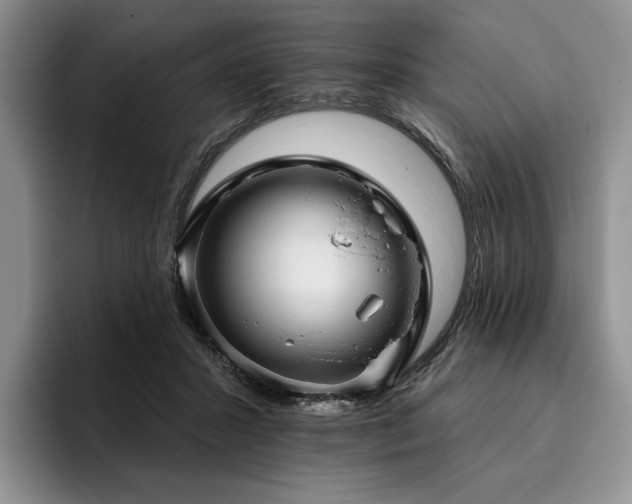 X0000096130407200801181117