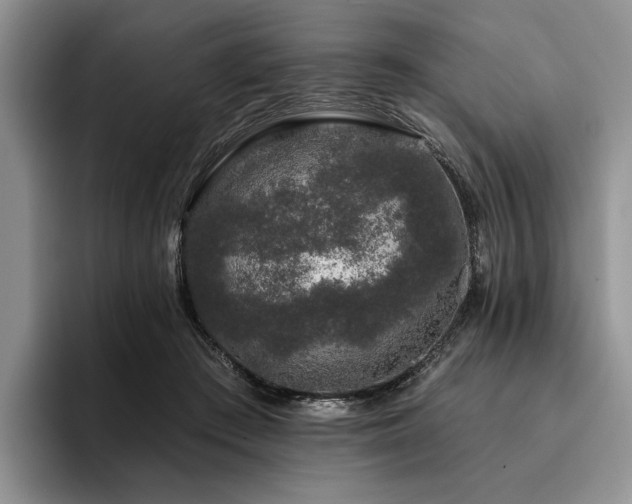 X0000096130409200801181117