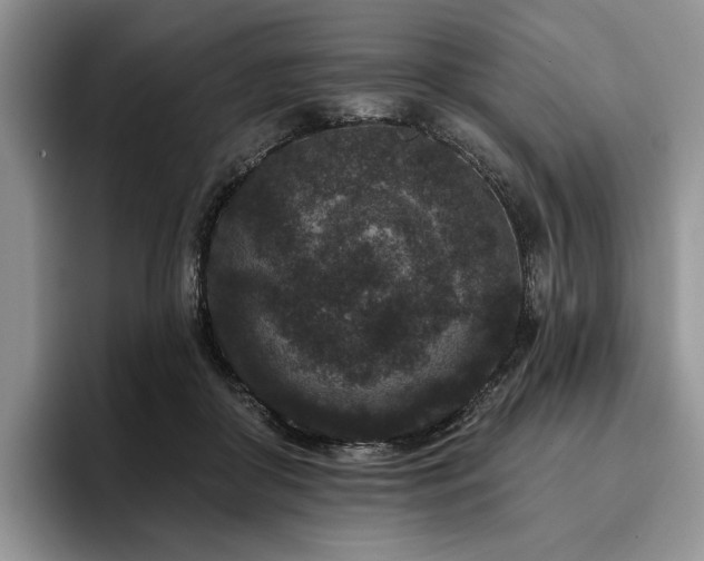 X0000096130410200801181117