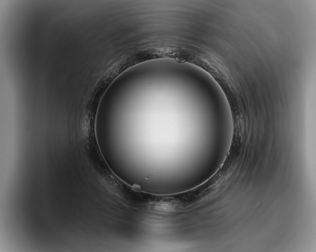 X0000096130412200801181116