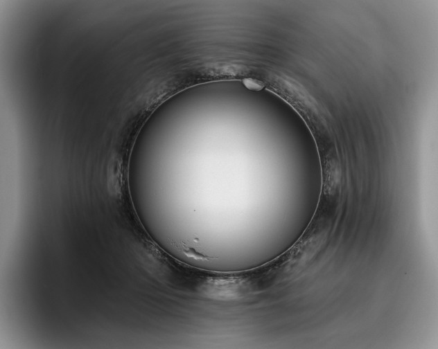 X0000096130414200801181116