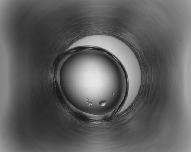X0000096130415200801181116