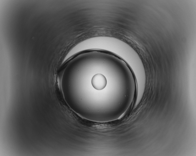 X0000096130417200801181116