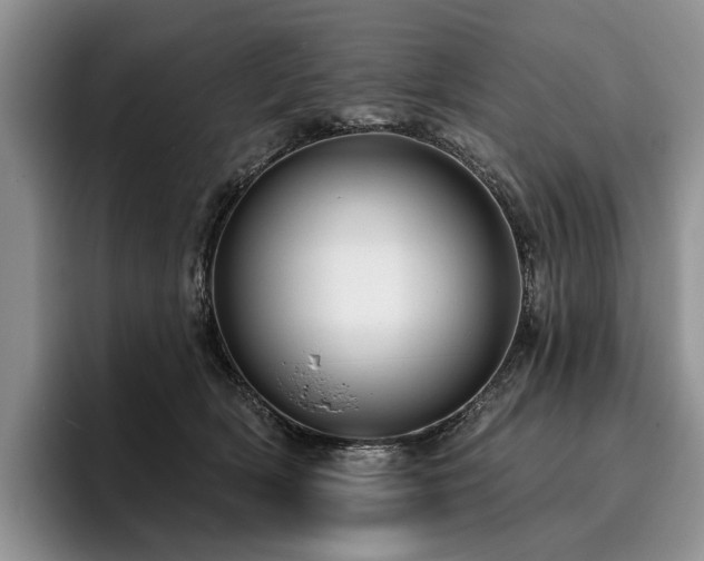 X0000096130418200801181116