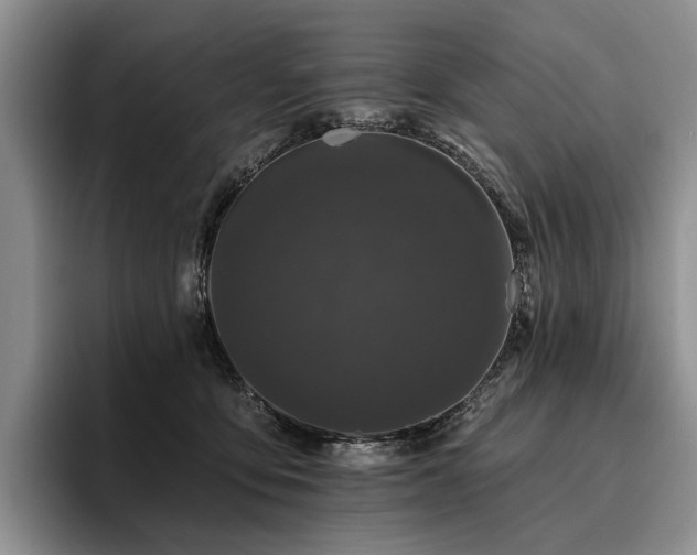 X0000096130419200801181116