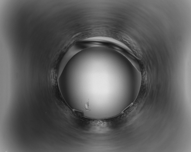 X0000096130421200801181116