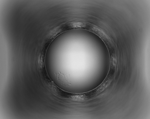 X0000096130422200801181116
