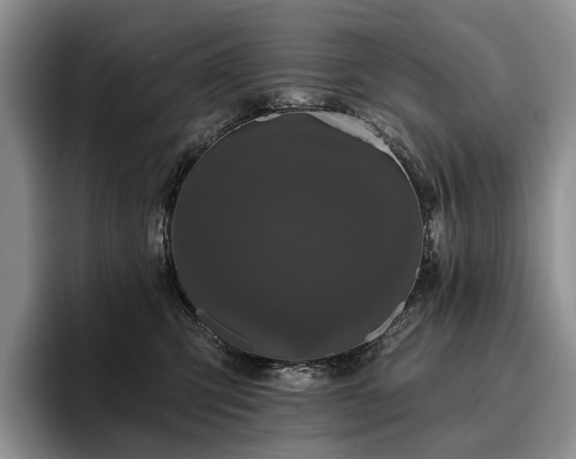 X0000096130423200801181116