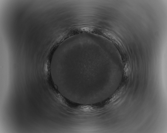 X0000096130424200801181116