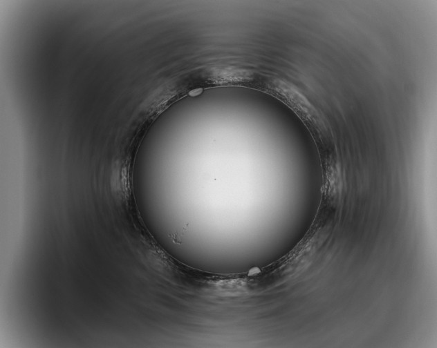 X0000096130426200801181116