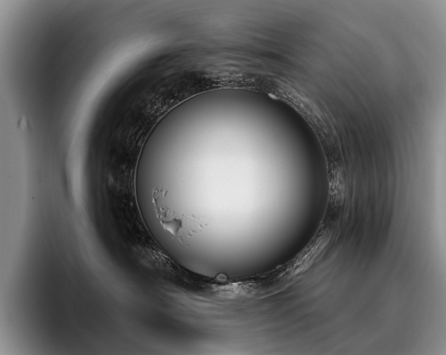 X0000096130430200801181116