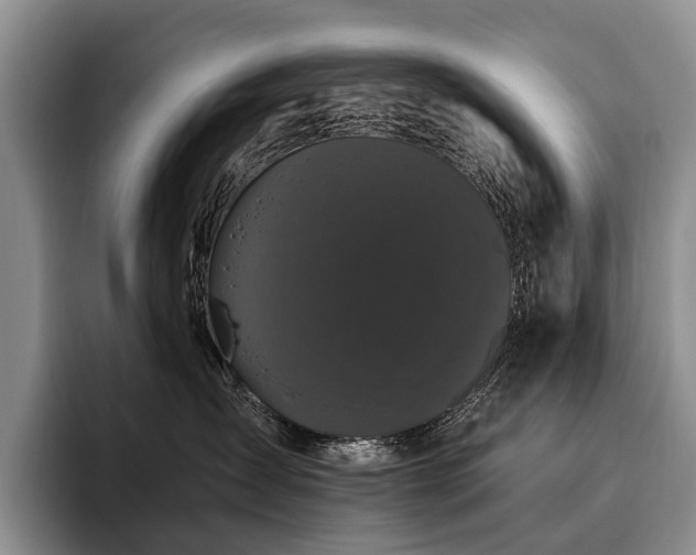 X0000096130431200801181116