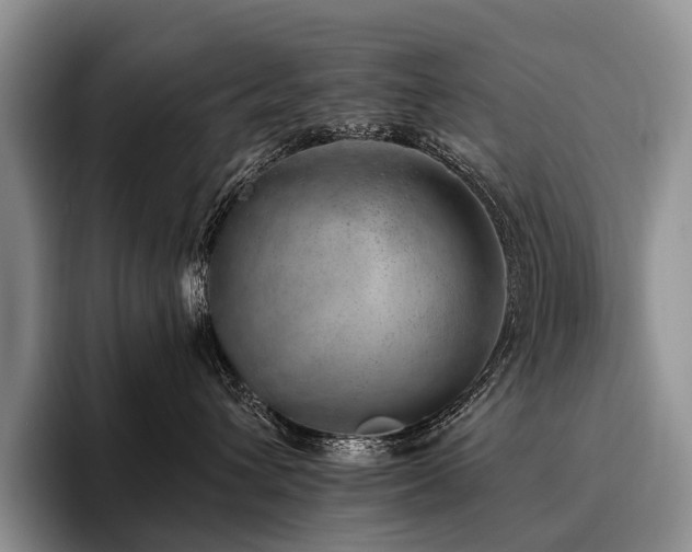 X0000096130432200801181116