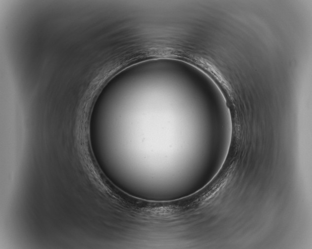 X0000096130433200801181116
