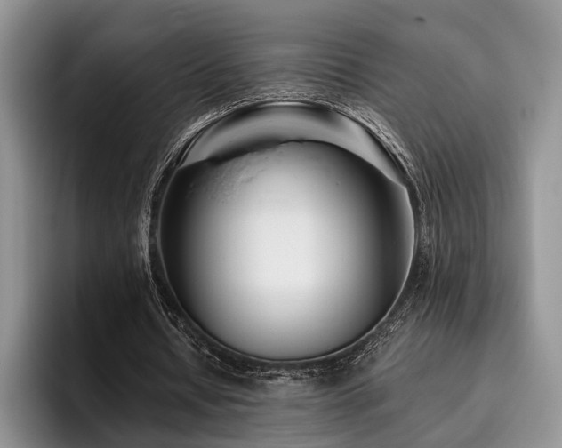 X0000096130434200801181116