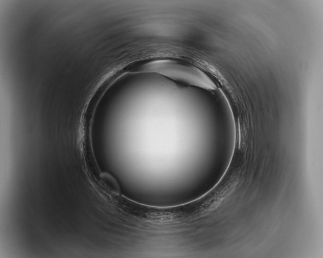 X0000096130435200801181116