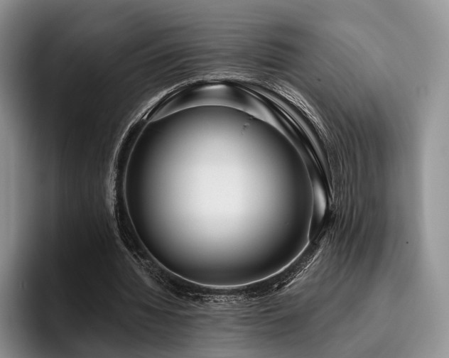 X0000096130436200801181116