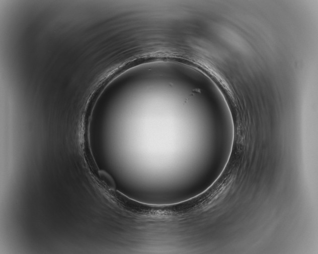 X0000096130437200801181116