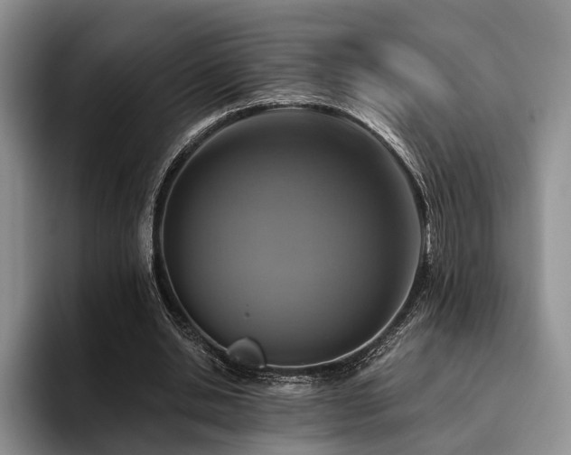 X0000096130438200801181116