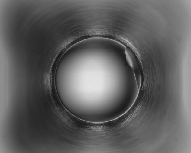 X0000096130439200801181116