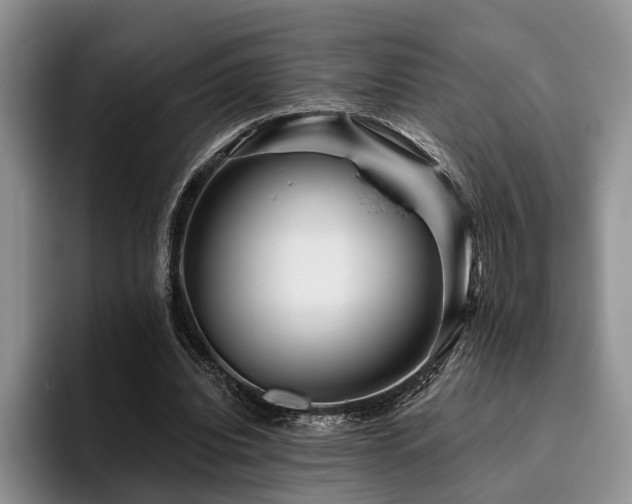 X0000096130440200801181116