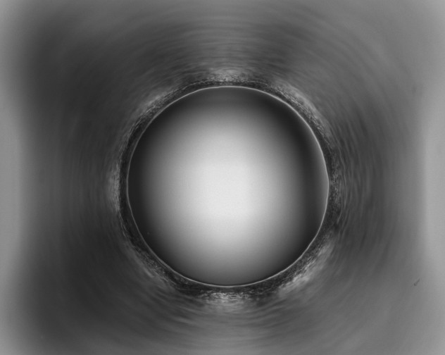 X0000096130442200801181116