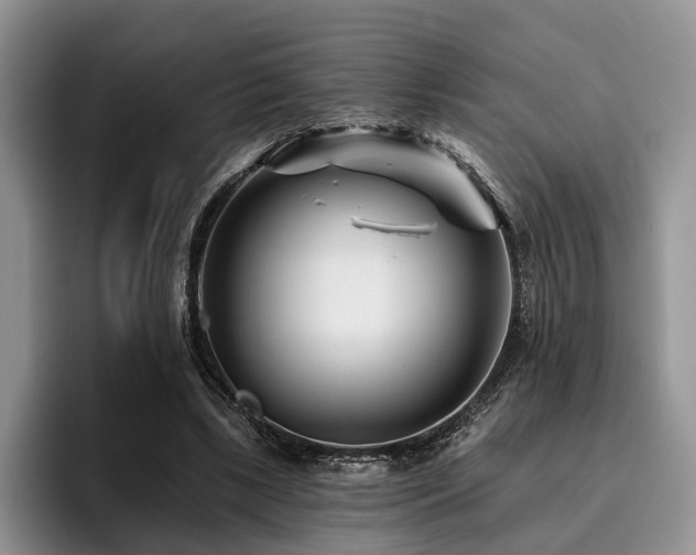 X0000096130443200801181116