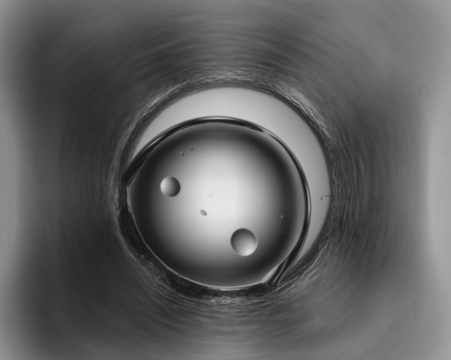 X0000096130444200801181116