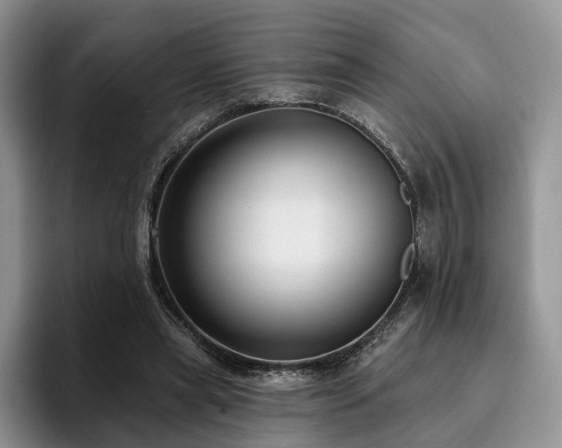 X0000096130445200801181116