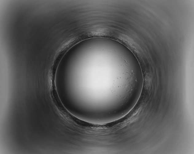 X0000096130446200801181116