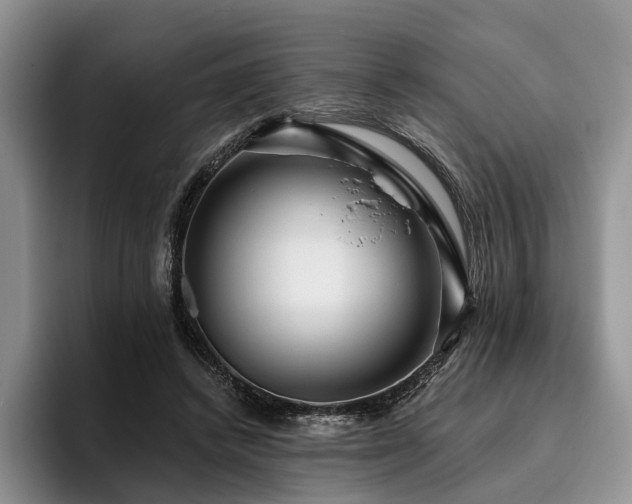 X0000096130448200801181116