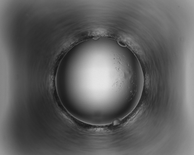 X0000096130449200801181116