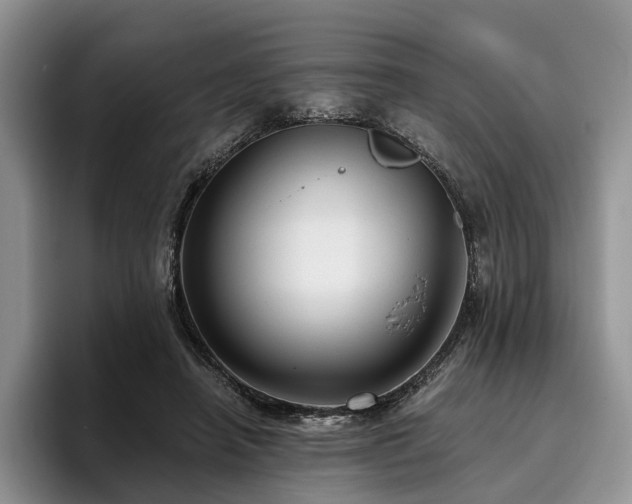 X0000096130450200801181116
