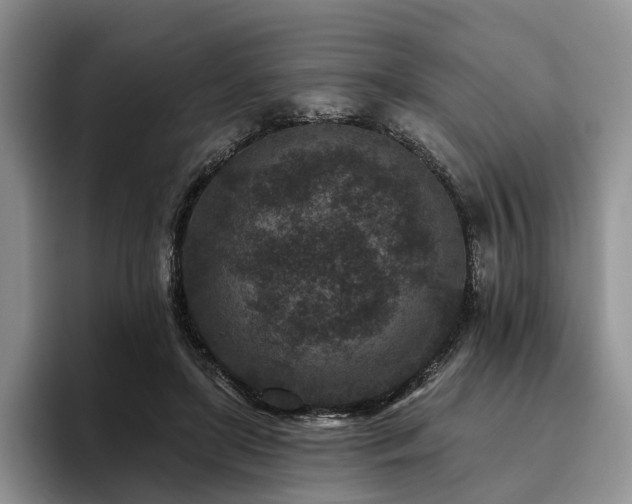 X0000096130451200801181116
